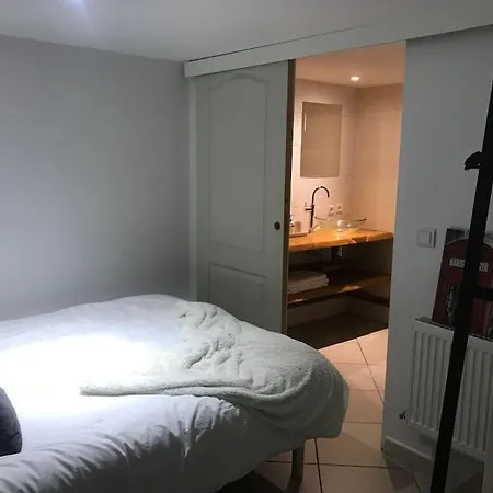 A La Decouverte De Strasbourg *