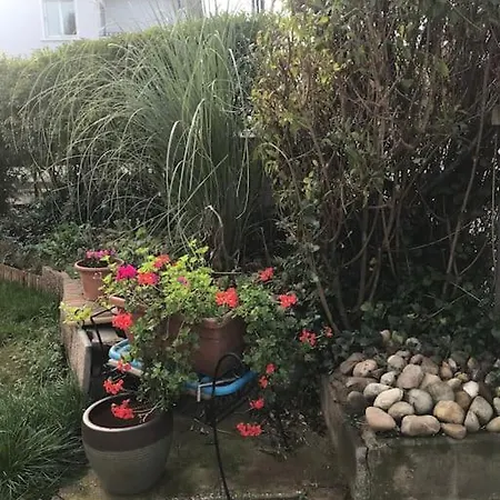 A La Decouverte De Strasbourg Apartman Bischheim